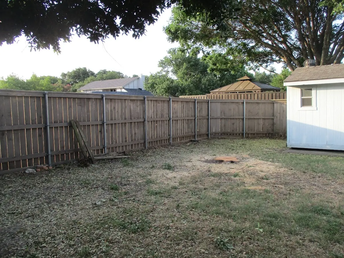 Cleared yard after professional tree removal in Sabine