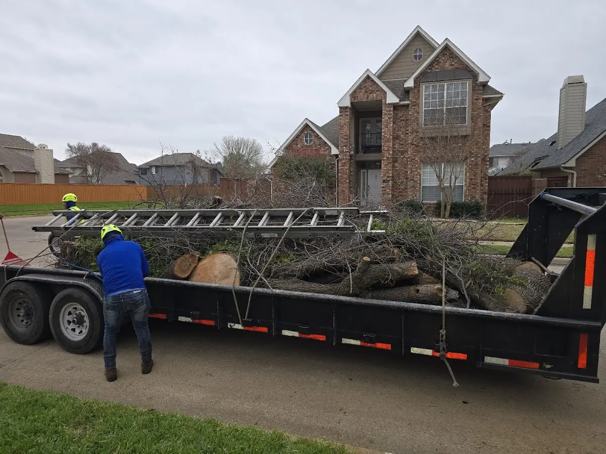 Expert Tree Fertilization with proper safety equipment in Sabine
